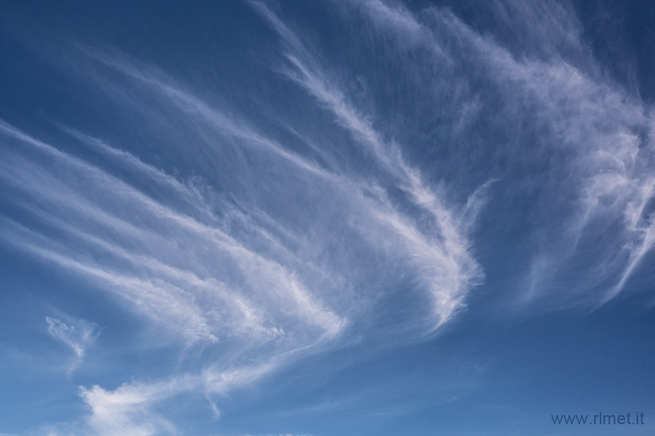 Cirrus fibratus